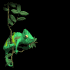 flycatch_sb.gif