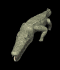 crocodile_wiggle_tail_sb.gif