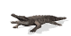 crocodile_bite_sw.gif