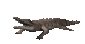 crocodile_bite_sc.gif