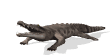 crocodile_bite_mw.gif