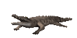 crocodile_bite_mc.gif
