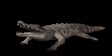 crocodile_bite_mb.gif