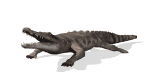 crocodile_bite_lw.gif