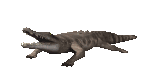crocodile_bite_lc.gif