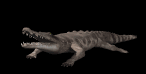 crocodile_bite_lb.gif