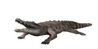 crocodile_bite_hr.jpg