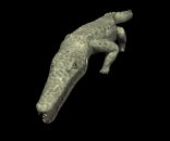crocodile_big_bite_lb.gif
