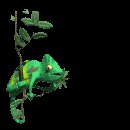 chameleon_mc.gif