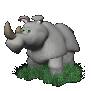 rhino_standing_around_sc.gif