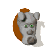 rhino_plaque_suprised_tw.gif