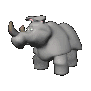 rhino_looking_around_sc.gif