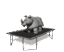 rhino_jumping_on_tram_a_tw.gif