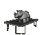 rhino_jumping_on_tram_a_tc.gif