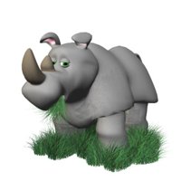 rhino_eating_hr.jpg