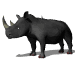 rhino_birdy_mw.gif