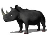 rhino_birdy_lw.gif