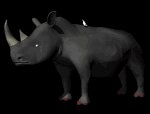 rhino_birdy_lb.gif