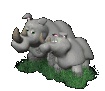 rhino_and_baby_sc.gif