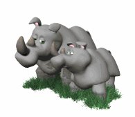 rhino_and_baby_lw.gif
