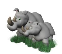 rhino_and_baby_hr.jpg