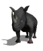rhino1_sw.gif