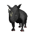 rhino1_sc.gif