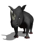 rhino1_mw.gif