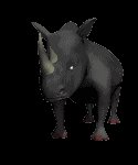 rhino1_lc.gif