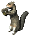 squirrel_eating_sc.gif