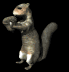 squirrel_eating_sb.gif