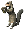 squirrel_eating_mc.gif