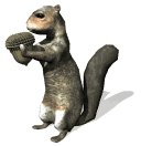 squirrel_eating_lw.gif