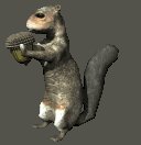 squirrel_eating_lc.gif