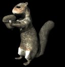 squirrel_eating_lb.gif