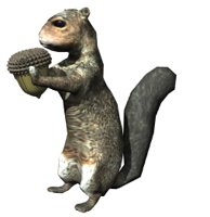 squirrel_eating_hr.jpg