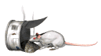 rat_food_lw.gif