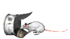 rat_food_lc.gif