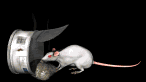 rat_food_lb.gif