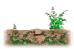 prairie_dog_sw.gif