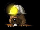 miner_lost_lb.gif