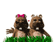 love_sw.gif