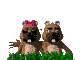 love_sc.gif