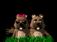 love_sb.gif