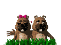 love_mc.gif