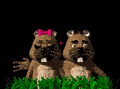 love_mb.gif