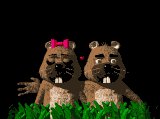 love_lb.gif