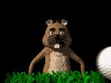 confused_lb.gif
