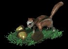 chipmunk_pushing_nuts_mc.gif