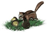chipmunk_pushing_nuts_lw.gif